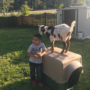 Meet your Posher, Rolando